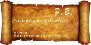 Pattantyus Bolivár névjegykártya